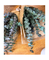 Dried Eucalyptus Bunches 