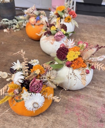 Dried floral pumpkins set of 3 Fresh pumpkin with dried flowers  in Klamath Falls, OR | Yarrow in Bloom