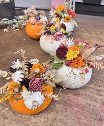 Dried floral pumpkins  Fresh pumpkin with dried flowers 