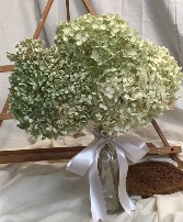 Dried Hydrangea Vase Arrangement