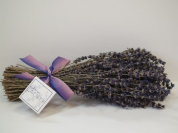 Dried Lavender Bouquet  in Northport, NY | Hengstenberg's Florist