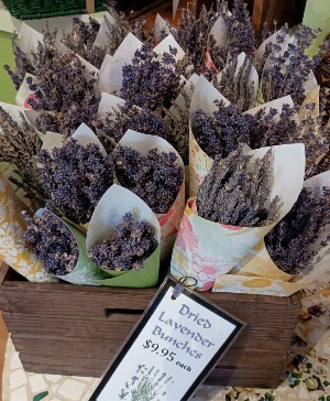 Dried Lavender Bunches Gift