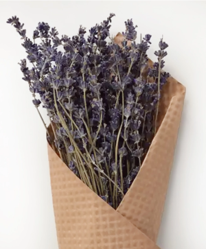 Dried Lavender Bundle