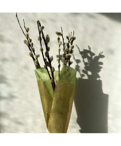 Dried Pussy Willow Bunch 