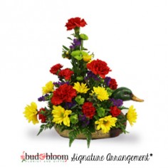 Category Image