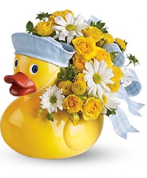 Ducky Delight - Boy 