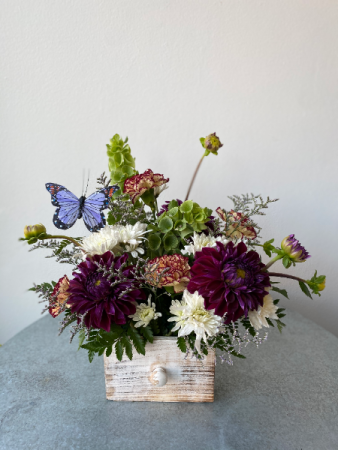 Dutch Dahlia Box