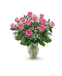 Dz Pink Roses Roses