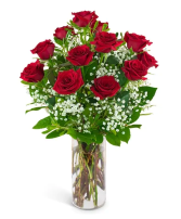DZ Red Roses  in East Providence, Rhode Island | P & J FLORIST