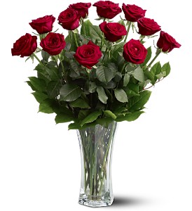 Premium Red Roses  1, 2,or 3 DZ  