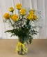 DZ Yellow Roses 