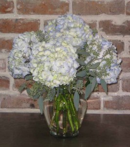 E-16/MOM-5 Economical in New Orleans, LA | HARKINS THE FLORIST E-16/MOM-5 Economical in New Orleans, LA | HARKINS THE FLORIST