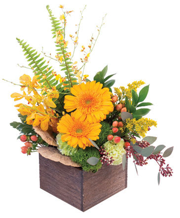 Earthy Indulgence Floral Arrangement in Northport, NY | Hengstenberg's Florist
