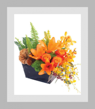 Earthly Lilies and Orchids Sold Out