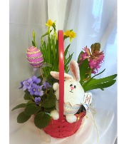 Easter Basket  Blooming Plants