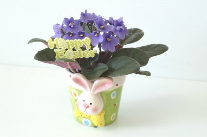 Easter Bunny African Violet Planter 