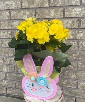 Easter Bunny Begonia Planter