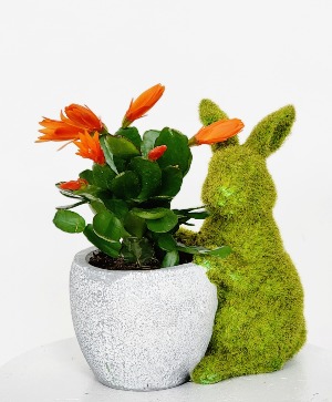 Easter Cactus Bunny Planter
