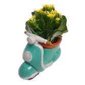 Easter Cactus Scooter Plant