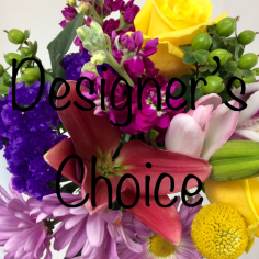 Category Image