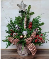 Christmas Cedar Baskets Fresh Arrangement 