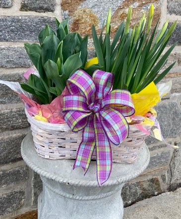 Easter Combo basket Easter plants in Glen Rock, PA | Flowers by Cindy