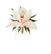 Easter Cymbidium Orchid  Corsage 