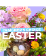  Easter Florals Designer's Choice 
