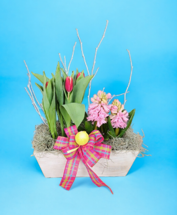 Easter Garden Box  in Schuylkill Haven, PA | Freed's Flowers
