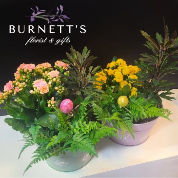 Easter Garden Tin Planter in Kelowna, BC | Burnett's Florist