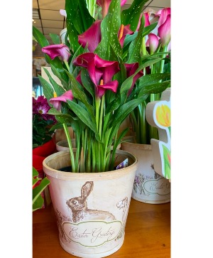 Easter Greeting Callas  