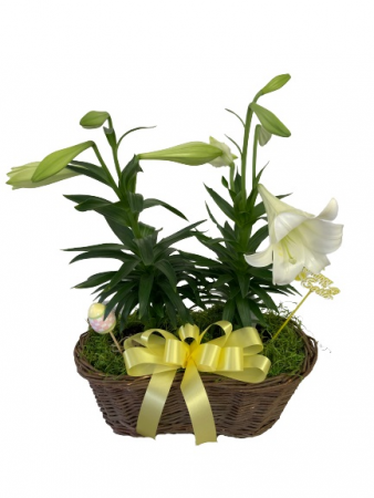 Easter Lily Basket