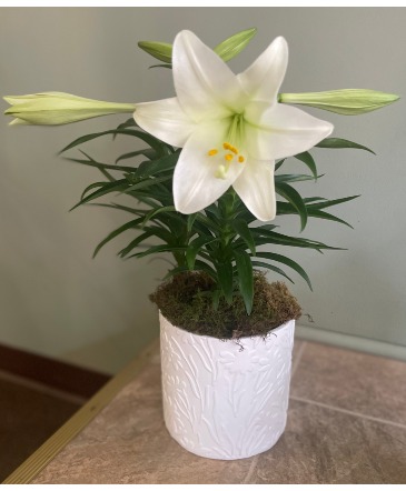 Easter Lily Planter  in Warren, PA | VIRG-ANN FLOWER SHOP LLC.