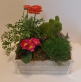 Easter Planter box plants