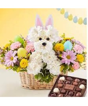 Easter Pup with chocolates Easter
