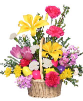  CAROUSEL SPRING SPECIAL        Assorted spring flowers in basket or vase.  Variety and colors change daily for freshest look