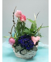 Easter Tulip Plant Basket