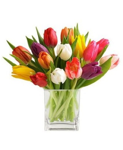 Spring Tulip Special Tulip Arrangement