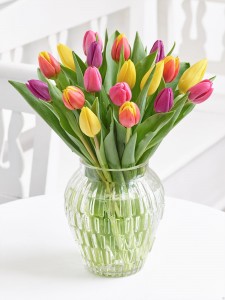 Dutch Tulip  Vase