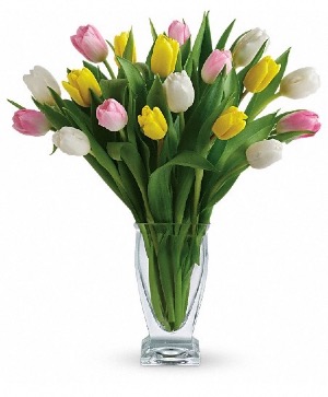 Easter Tulips mix 