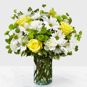 Easy Breezy Daisy Bouquet Vase arrangement