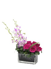 Eco de Ternura Mothers day 2025