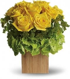 Eco Friendly Las Vegas flowers Modern Design