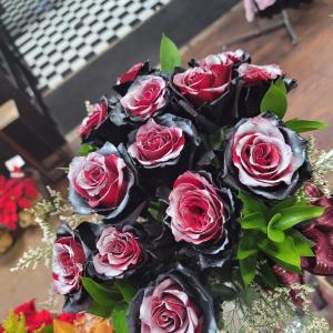 ecuadorian red tinted roses dz roses vase