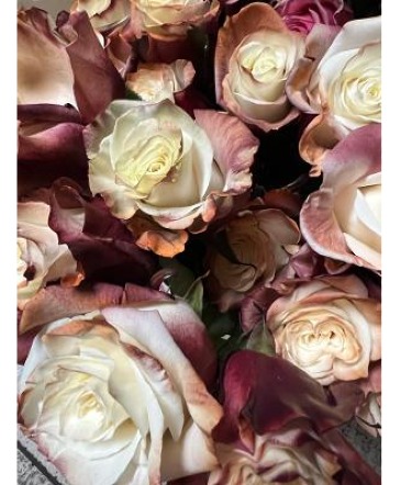 Ecuadorian Roses  in Fort Myers, FL | ANGEL BLOOMS LLC.