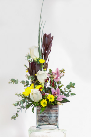 Edge of Dawn Custom arrangement