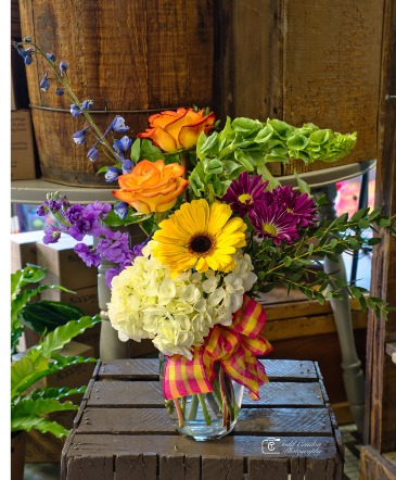 Eevy Ivy Special Bright Colorful Mix in Chippewa Falls, WI | Eevy Ivy Over Flowers Framing And Gifts