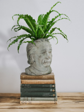 Einstein Planter holds 4" plant