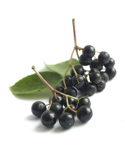 Elderberry Infused Red Balsamic Vinegar 