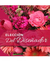 Elección Del Diseñador.